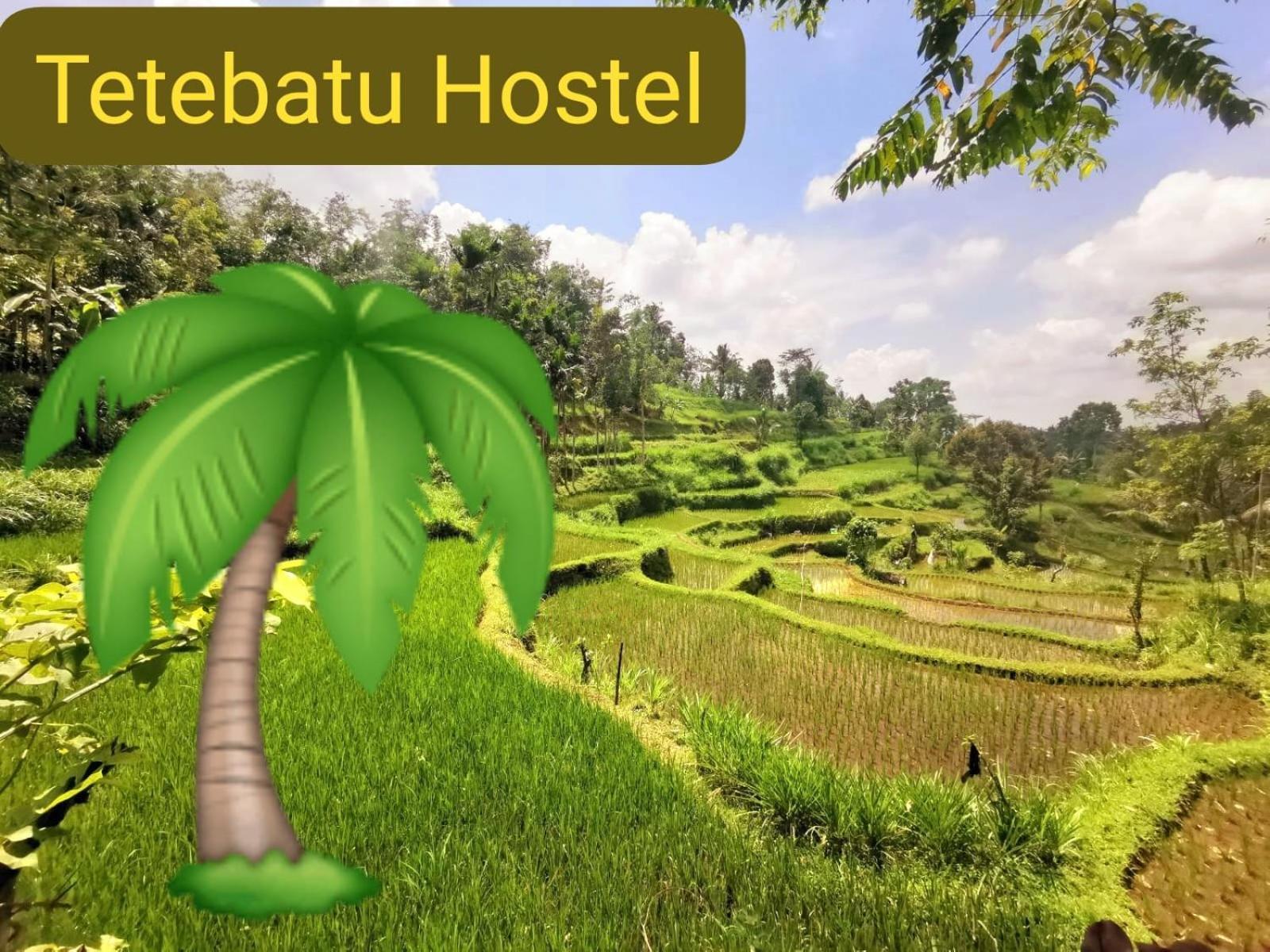 Tetebatu Hostel Ngoại thất bức ảnh
